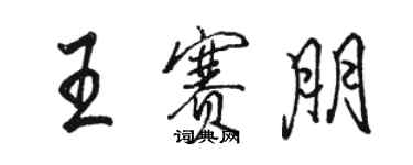 駱恆光王賽朋行書個性簽名怎么寫