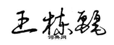 曾慶福王棟麗草書個性簽名怎么寫