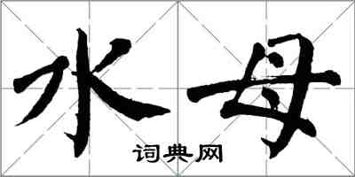 翁闓運水母楷書怎么寫