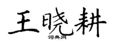 丁謙王曉耕楷書個性簽名怎么寫