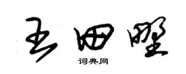 朱錫榮王田野草書個性簽名怎么寫