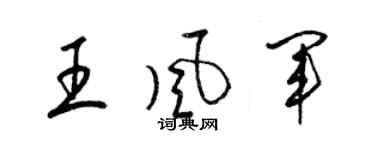 梁錦英王風軍草書個性簽名怎么寫