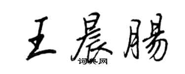 王正良王晨腸行書個性簽名怎么寫