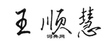 駱恆光王順慧行書個性簽名怎么寫