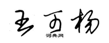 朱錫榮王可楊草書個性簽名怎么寫