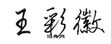 駱恆光王彩徽行書個性簽名怎么寫