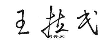 駱恆光王拉民草書個性簽名怎么寫