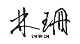 駱恆光林珊草書個性簽名怎么寫