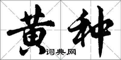 胡問遂黃種行書怎么寫