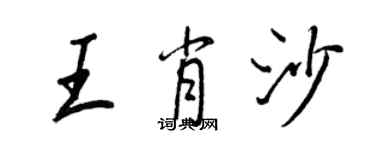 王正良王肖沙行書個性簽名怎么寫