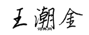 王正良王潮金行書個性簽名怎么寫