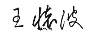 駱恆光王懷波草書個性簽名怎么寫