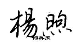 王正良楊煦行書個性簽名怎么寫