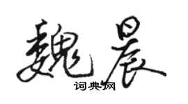 駱恆光魏晨行書個性簽名怎么寫