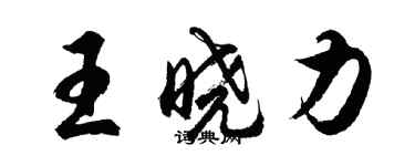 胡問遂王曉力行書個性簽名怎么寫