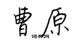 王正良曹原行書個性簽名怎么寫