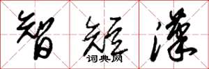 朱錫榮智短漢草書怎么寫