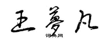 曾慶福王夢凡草書個性簽名怎么寫