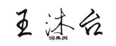 駱恆光王沐台行書個性簽名怎么寫