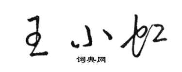 駱恆光王小虹草書個性簽名怎么寫