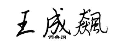 王正良王成飈行書個性簽名怎么寫