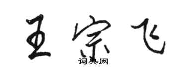 駱恆光王宗飛行書個性簽名怎么寫