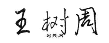 駱恆光王樹周行書個性簽名怎么寫