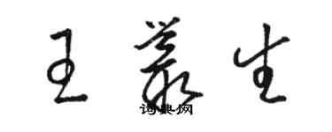 駱恆光王叢生草書個性簽名怎么寫