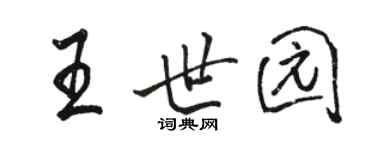 駱恆光王世園行書個性簽名怎么寫