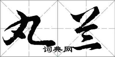 胡問遂丸蘭行書怎么寫