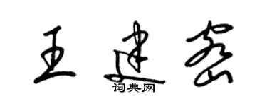 梁錦英王建密草書個性簽名怎么寫