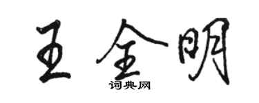 駱恆光王全明行書個性簽名怎么寫