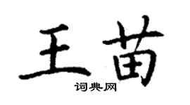 丁謙王苗楷書個性簽名怎么寫