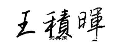 王正良王積暉行書個性簽名怎么寫