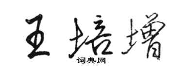 駱恆光王培增行書個性簽名怎么寫