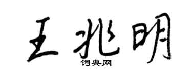 王正良王兆明行書個性簽名怎么寫
