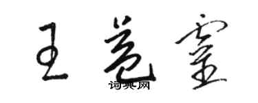 駱恆光王益靈草書個性簽名怎么寫