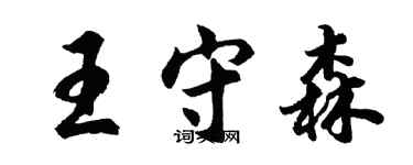 胡問遂王守森行書個性簽名怎么寫