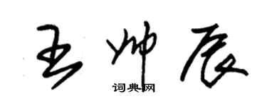 朱錫榮王帥辰草書個性簽名怎么寫