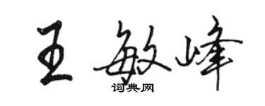 駱恆光王敏峰行書個性簽名怎么寫