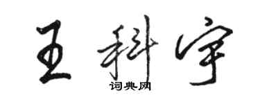 駱恆光王科宇行書個性簽名怎么寫