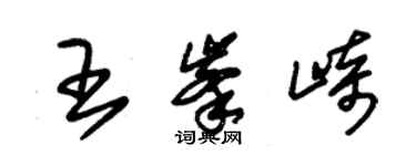 朱錫榮王峰崎草書個性簽名怎么寫