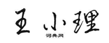 駱恆光王小理行書個性簽名怎么寫