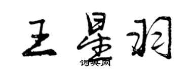 曾慶福王星羽行書個性簽名怎么寫