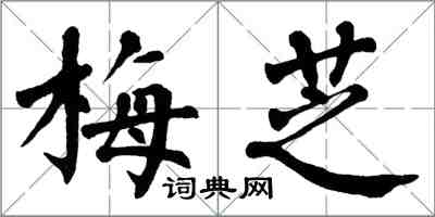 翁闓運梅芝楷書怎么寫