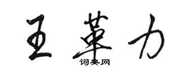 駱恆光王革力行書個性簽名怎么寫