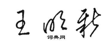 駱恆光王明新草書個性簽名怎么寫