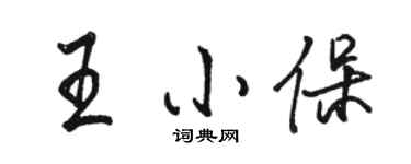 駱恆光王小保行書個性簽名怎么寫