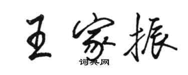 駱恆光王家振行書個性簽名怎么寫