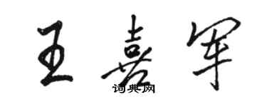 駱恆光王喜軍行書個性簽名怎么寫